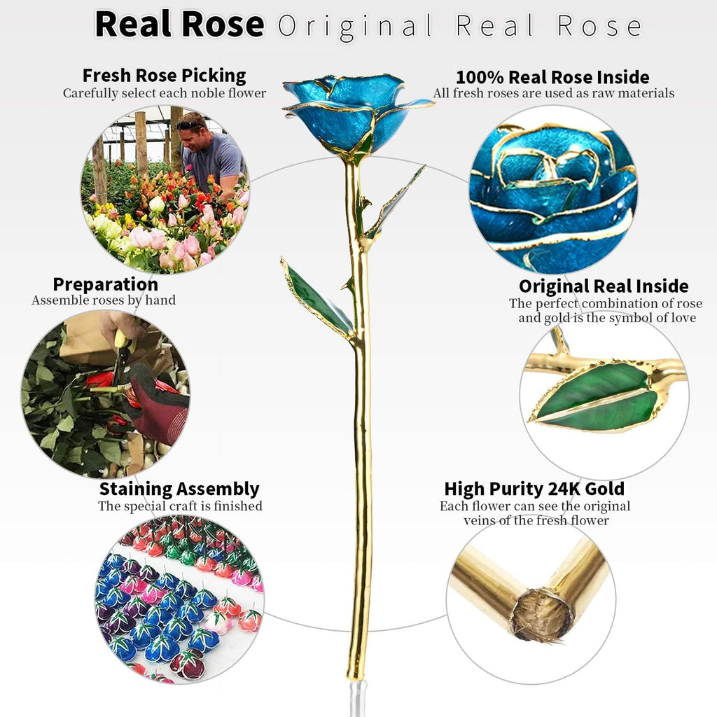 Romantic Rose Gift for Her,Eternity Gold Rose Flower 24K Gold Dipped Rose and Romantic Gift for Her Rose,Skyblue with Stand